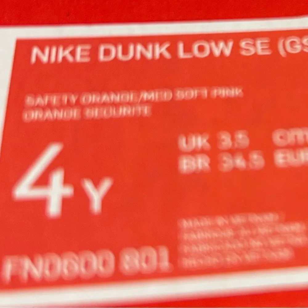 Kids' Exclusive Nike Dunk Low SE Everything You Need - Size 4Y